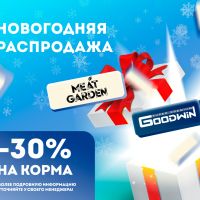 Новогодние скидки