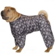 Дождевик Гамма болонь №18 шар-пей