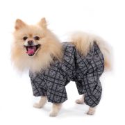 Дождевик Гамма «Шпиц», 26см