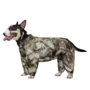 Дождевик Гамма болонь №11 бультерьер