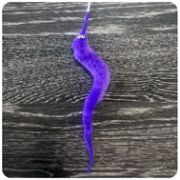 Игрушка д/кошек Дразнилка 50см Головастик ДС-14 PerseiLine