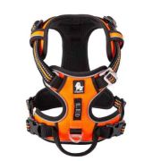 TrueLove Шлейка д/соб нейлон усиленная оранжево-черная р.L 69-81см раз. L4747