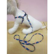 Комплект Шлейка+поводок нейлон ПетФэшн  шир 2см  Эконом разноцветн