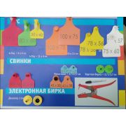 Бирка ушная Таг9 (п+м) Зелёная, одного размера (75 x 60)