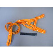 Комплект Шлейка+поводок нейлон шир 1,5см ПетФэшн ЭКОНОМ