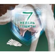 Мастенит- шприц на сухостой Нита Фарм  - клоксациллин 600 мг