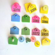 Бирка ушная двойная (м+п)  (40х42)  (Полиуретан)