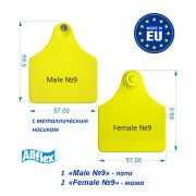 Бирка Male 09 папа. Жёлтая с номером (69,5х57)