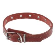 Ошейник Аркон о20ункр