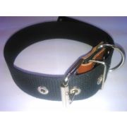 Ошейник №36 51-64см универсальный брезент АРТ089*
