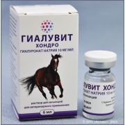 Гиалувит Хондро, 6 мл (Основная, 010824 до 31.08.27)