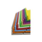 Бирка ушная TWIN м+п 10х35 фуксия с надписью 204307